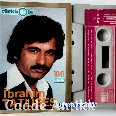 Kaset Alanlar